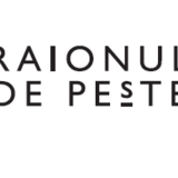 Ospatar Raionul de Peste